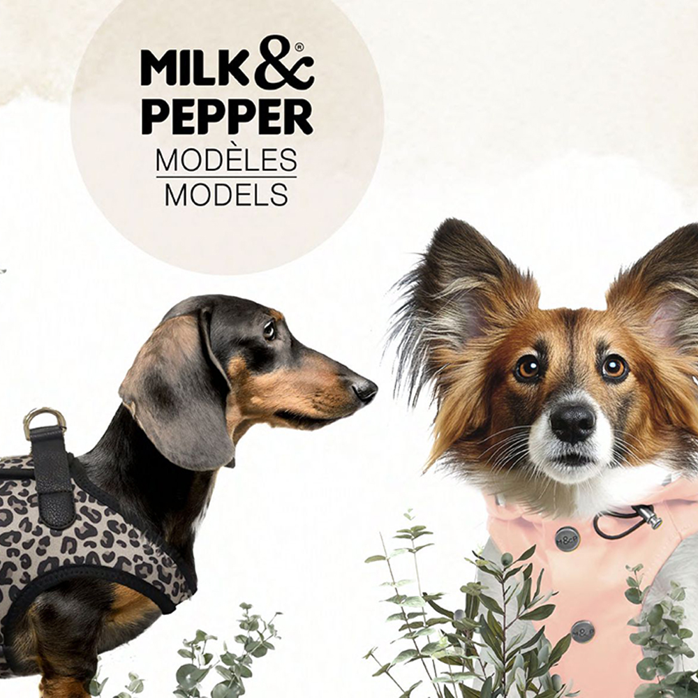 法國寵物精品Milk&Pepper-阿圖斯連帽衣